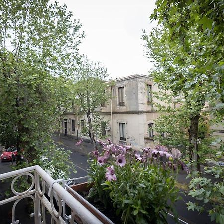 B&B Morosoli Palace CTA Exterior photo